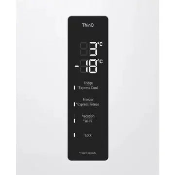 Réfrigérateur combiné LG GBV5250DSW